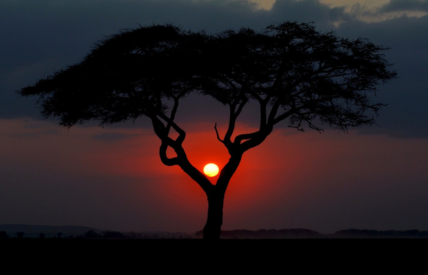 Climate and tourism