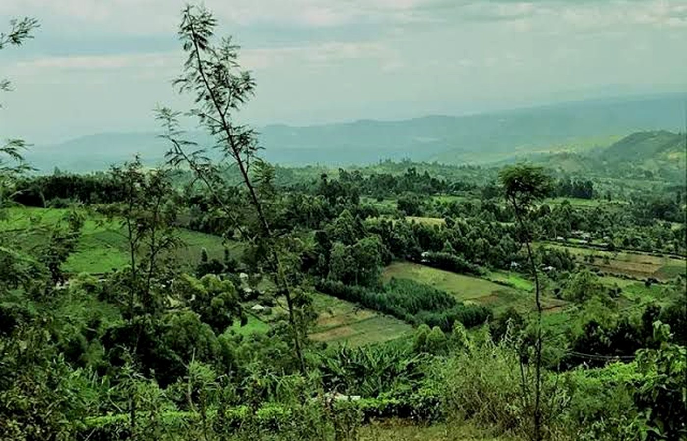 South-Western Kenya regional landscape